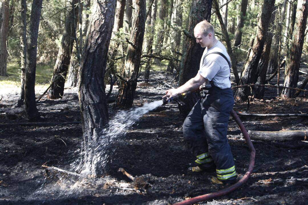 Kuršių nerijos gaisrą sutramdė gausios ugniagesių ir kariškių pajėgos