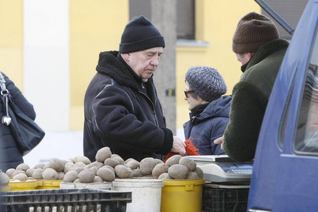 Žiemos varymo jomarkas Klaipėdos Turgaus aikštėje