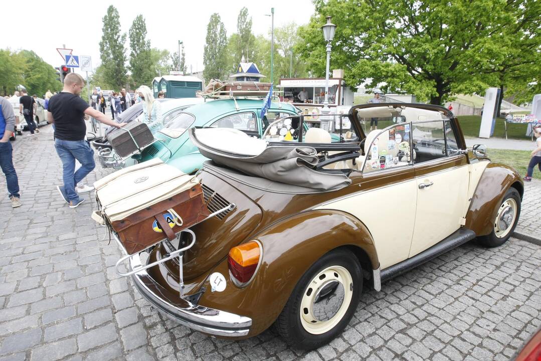 Uostamiesčio gatvėse spalvingi "vabalai" ir burbulų fiesta