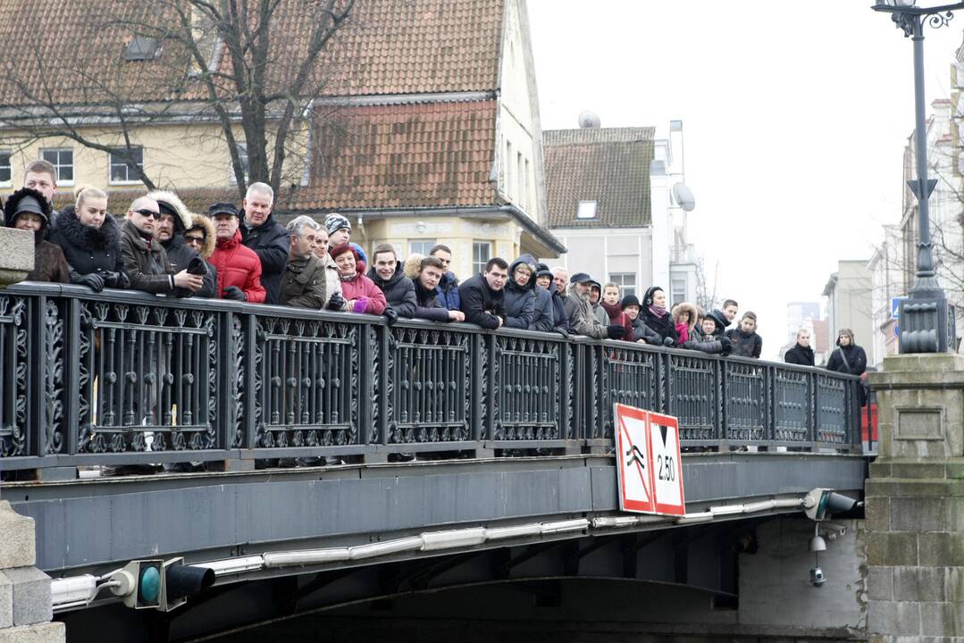 Danės pakrantę papuošė undinėlė