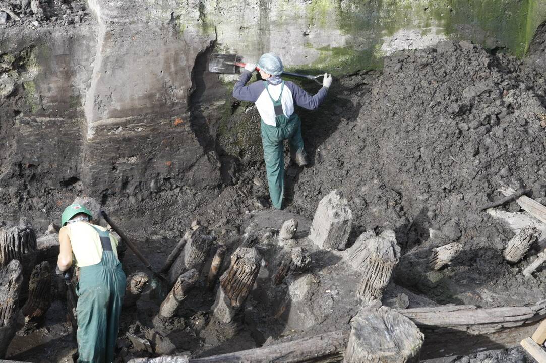 Klaipėdos piliavietės teritorijos kasinėjimai pildo radinių lobyną 