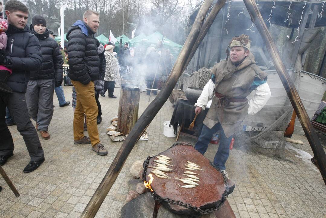 Palangoje prasidėjo tradicinė Stintų šventė