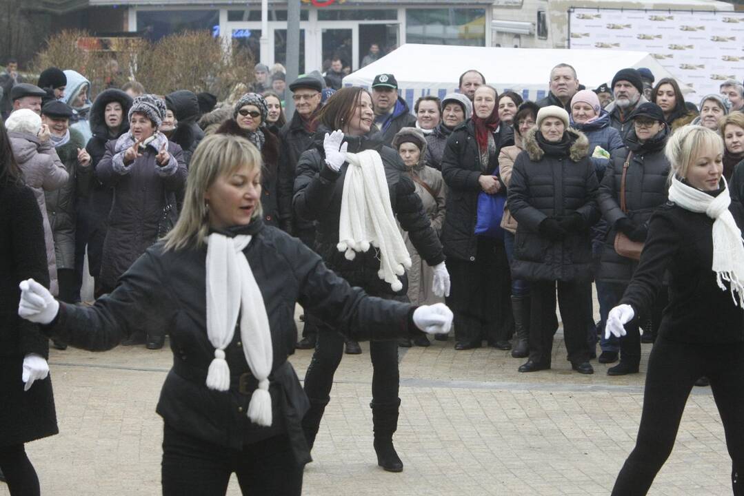 Palangoje prasidėjo tradicinė Stintų šventė