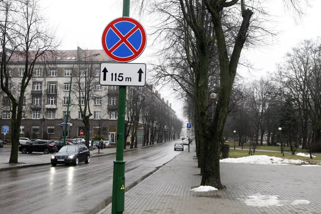 Danės gatvės rekonstrukcija
