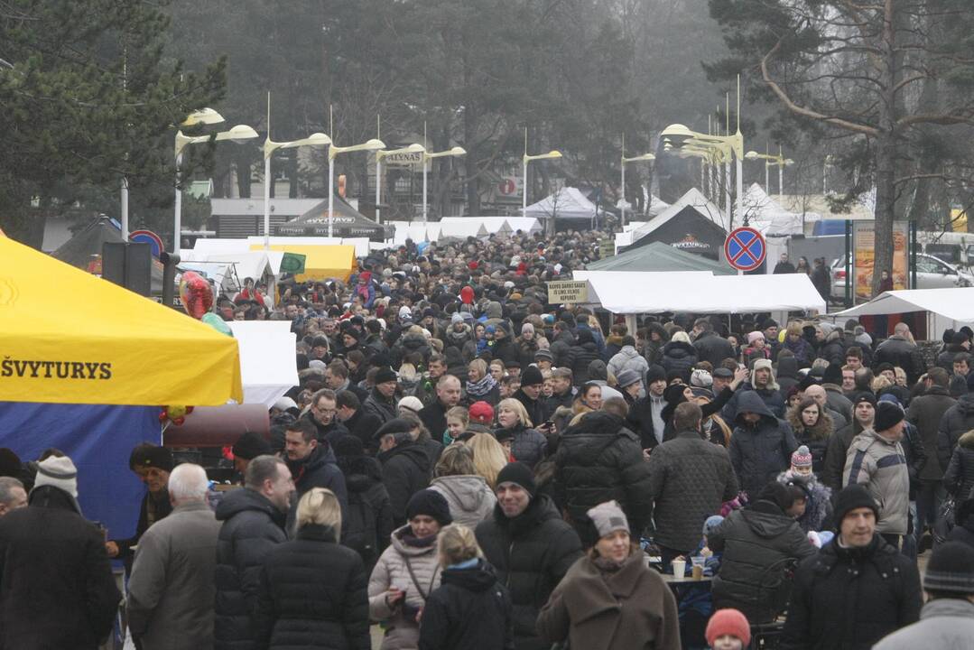 Palangoje prasidėjo tradicinė Stintų šventė