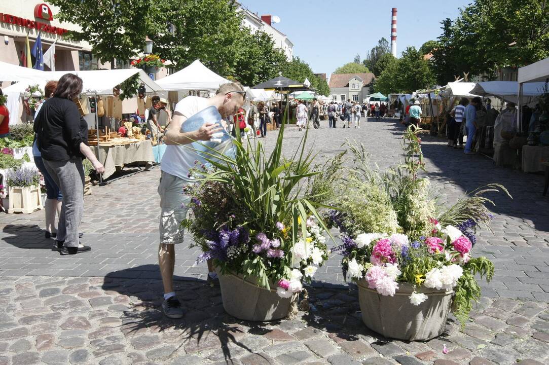 Joninių mugė paskendo žolynuose