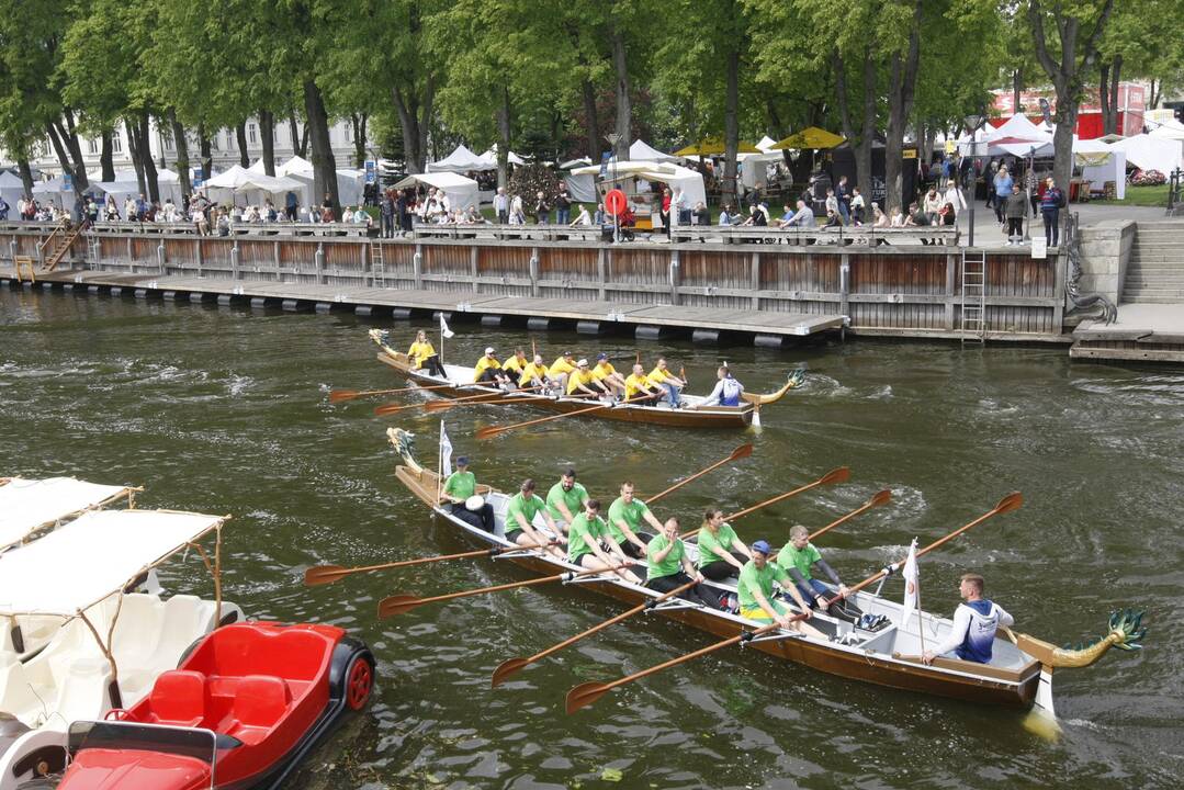 Laivų parade - pramogų vajus