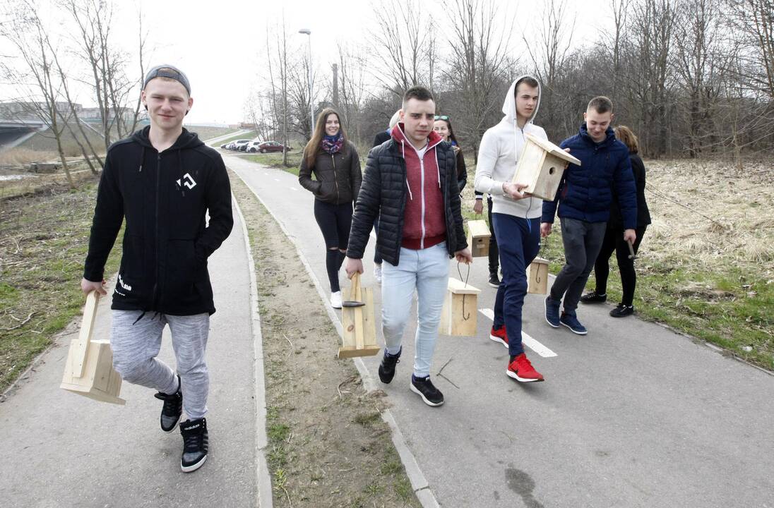 Klaipėdiečiai grąžina skolą gamtai