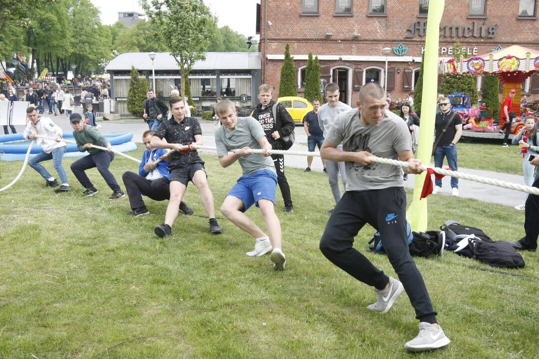 Laivų parade - pramogų vajus