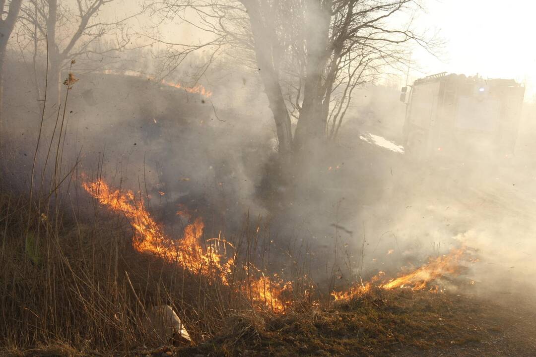 Klaipėdoje degė žolė
