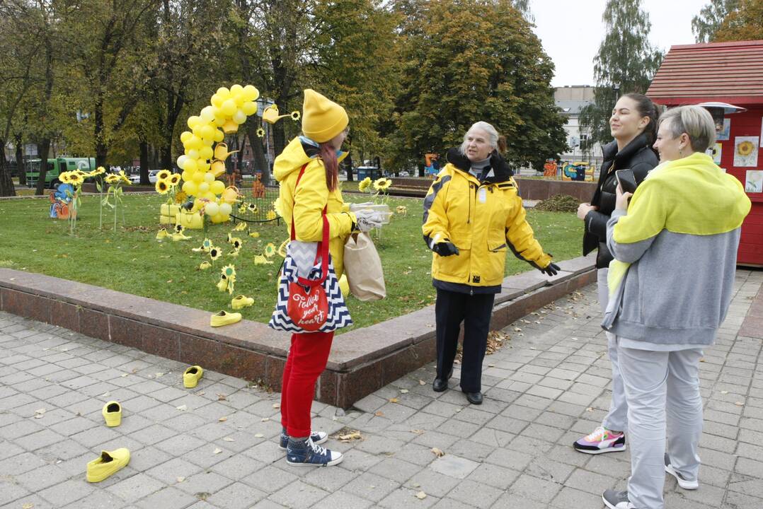 Uostamiesčio aikštės pražydo geltonai