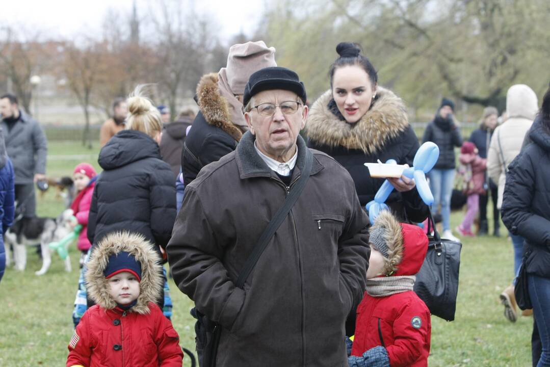 Keturkojų Kalėdos Klaipėdoje