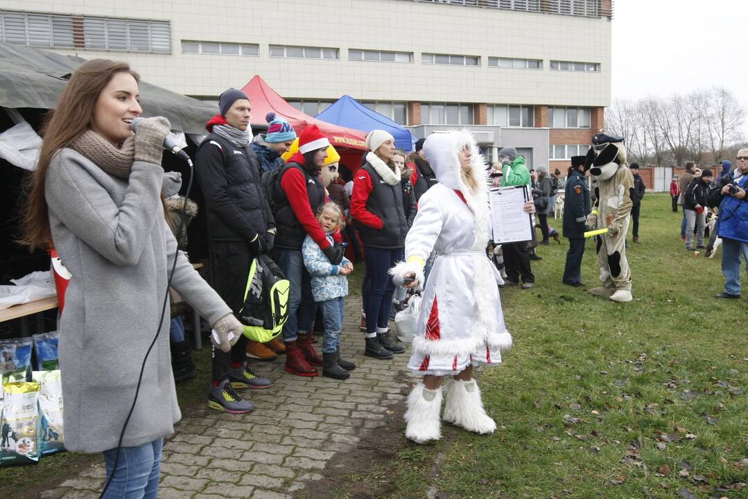 Keturkojų Kalėdos Klaipėdoje