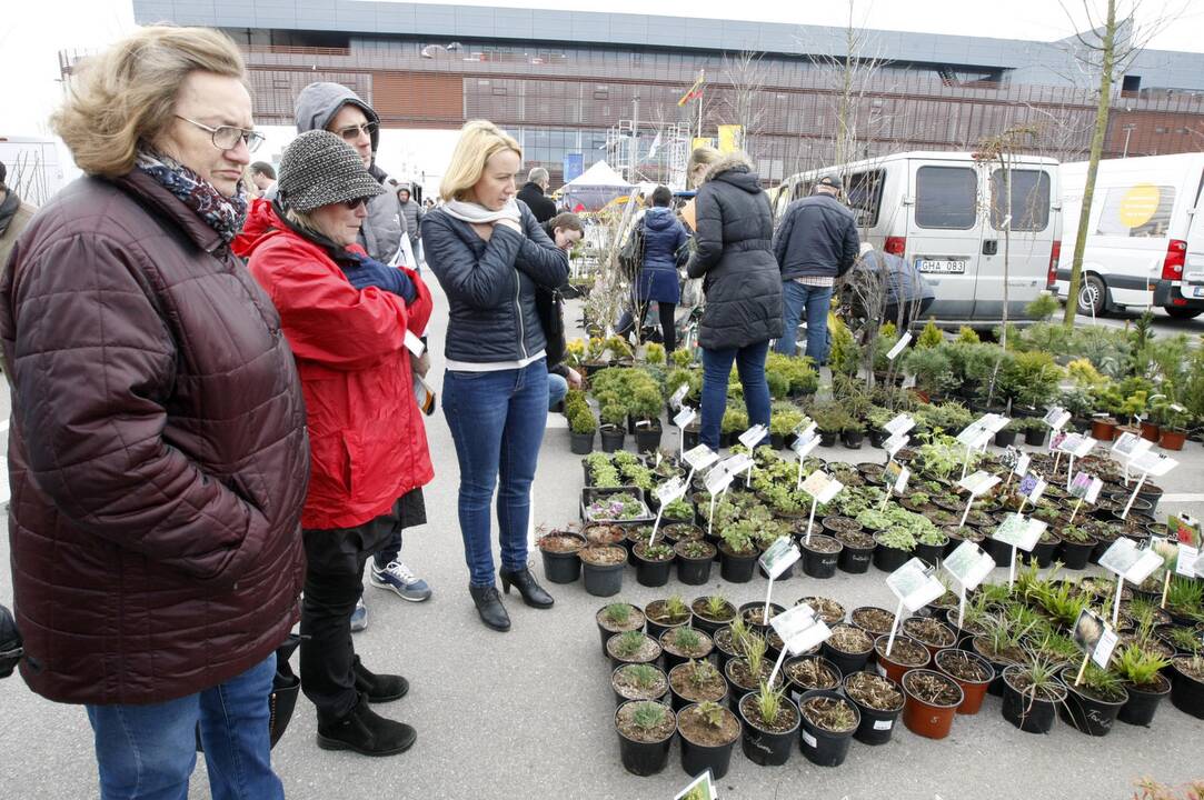 Klaipėdiečiai domėjosi aplinkos tvarkymo naujovėmis
