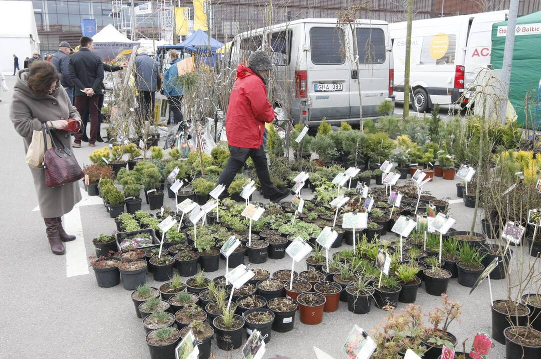 Klaipėdiečiai domėjosi aplinkos tvarkymo naujovėmis