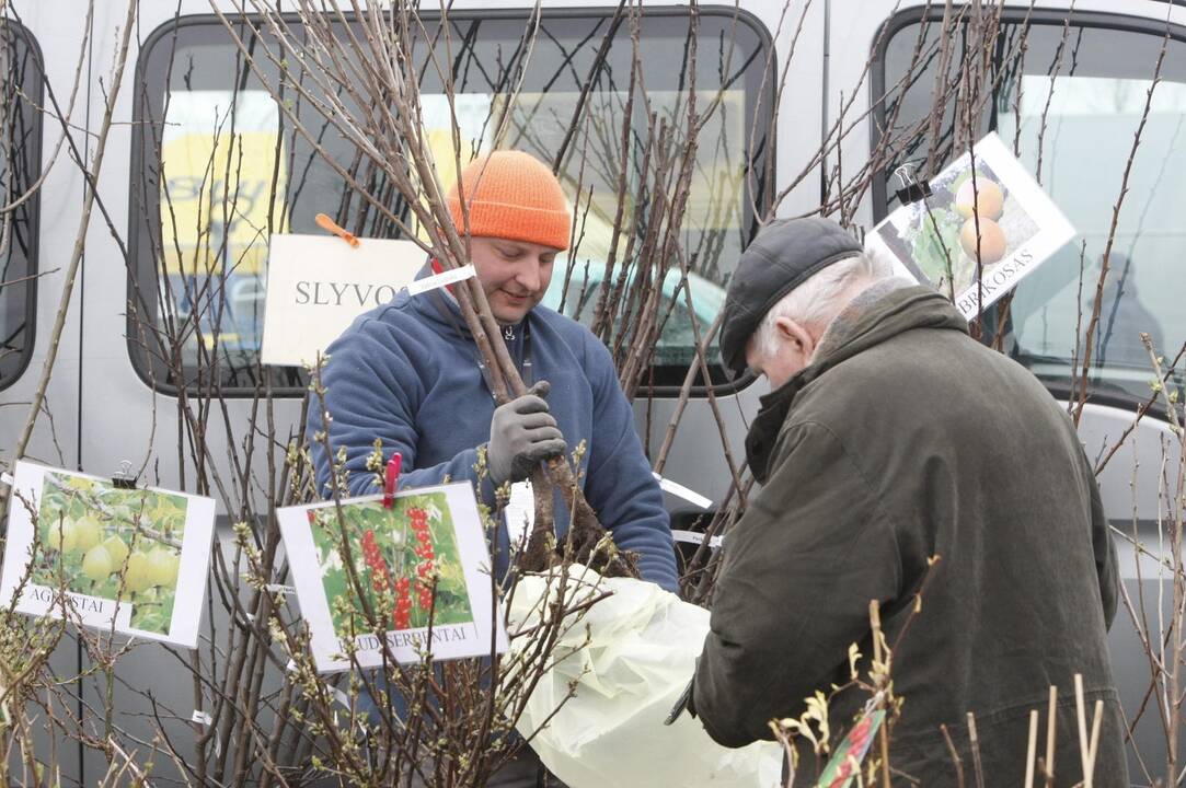 Klaipėdiečiai domėjosi aplinkos tvarkymo naujovėmis