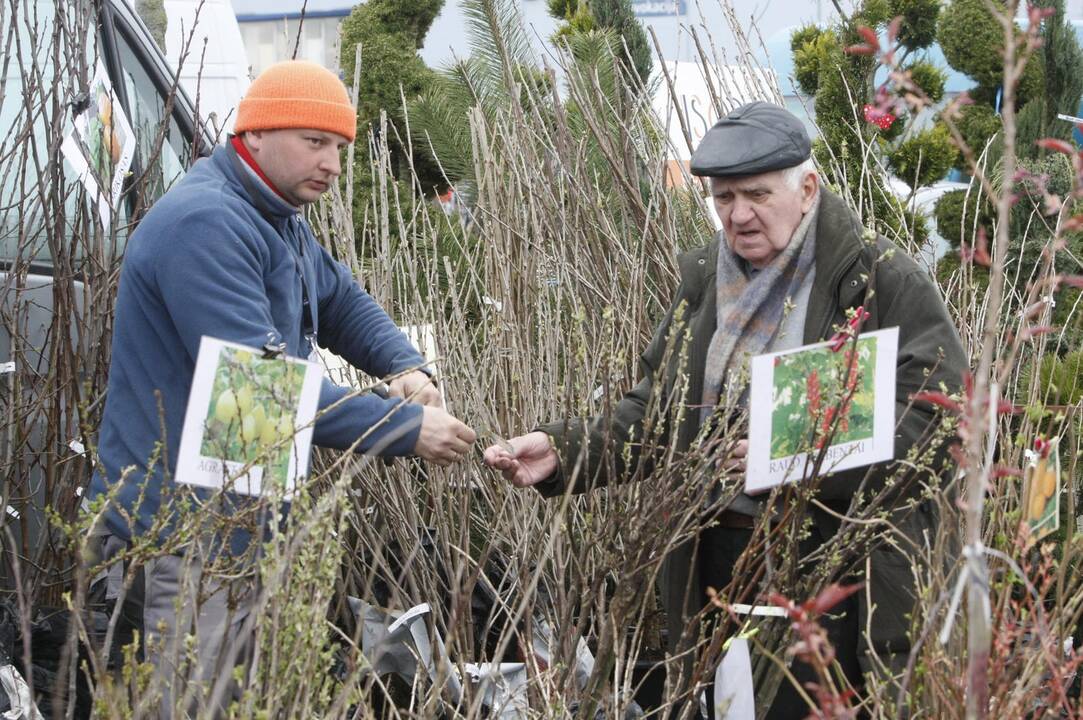 Klaipėdiečiai domėjosi aplinkos tvarkymo naujovėmis