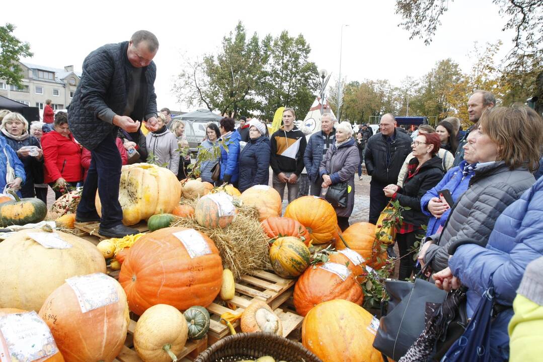 Rudens derliaus ir moliūgo šventė Kretingoje