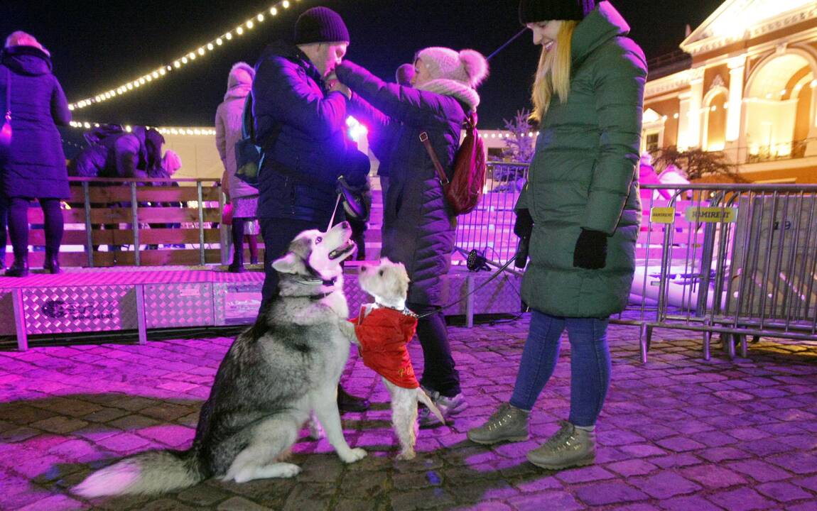 Klaipėdoje prasidėjo šeštasis Šviesų festivalis
