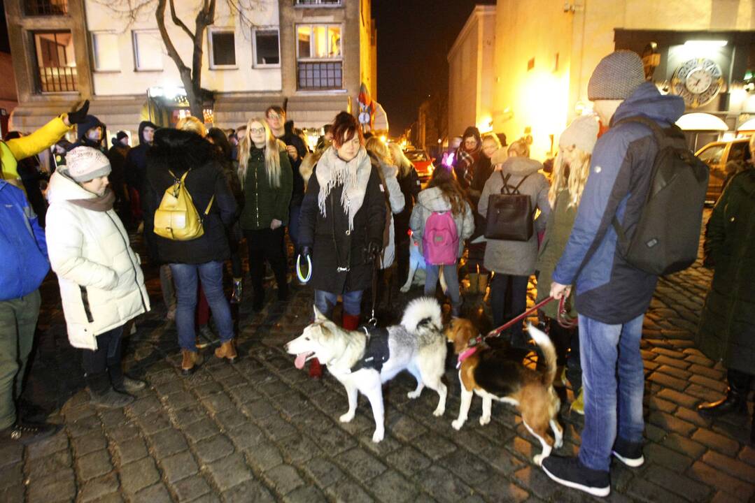 Klaipėdoje prasidėjo šeštasis Šviesų festivalis