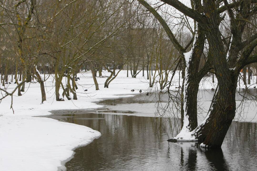 Ieškoti sliekų - į parką