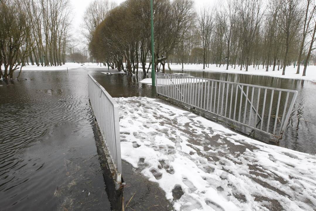 Ieškoti sliekų - į parką