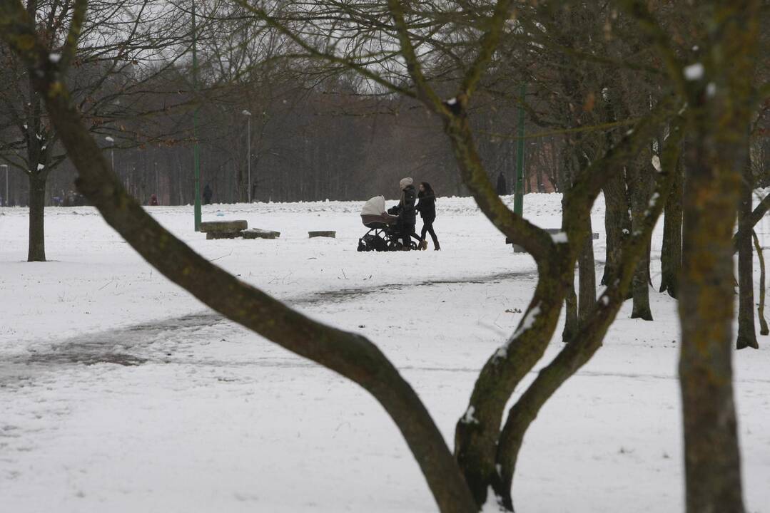 Ieškoti sliekų - į parką