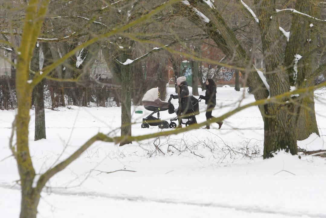 Ieškoti sliekų - į parką