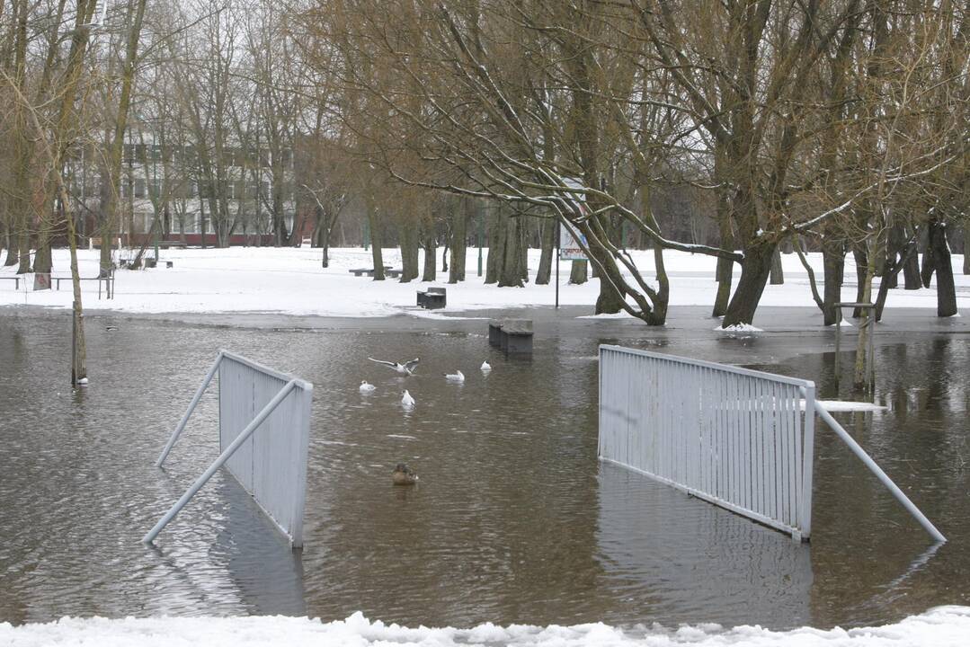 Ieškoti sliekų - į parką