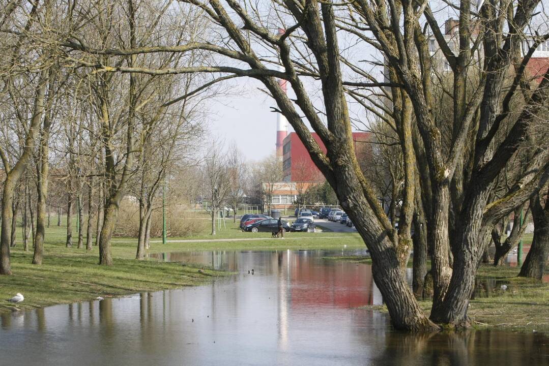 Draugystės parkas tapo šviesesnis