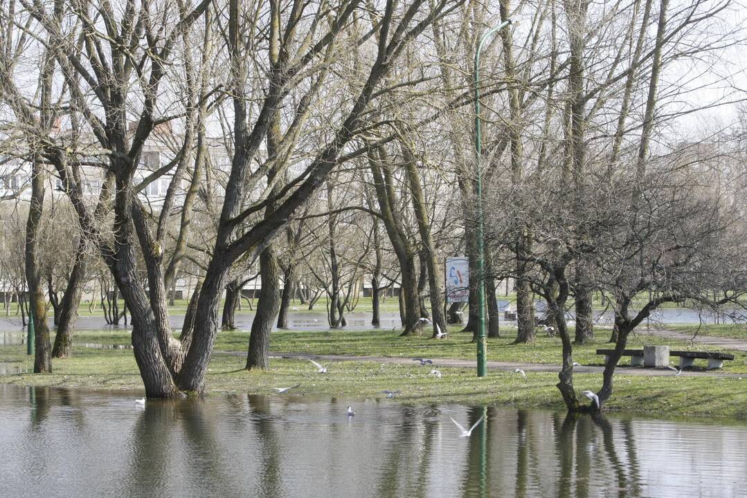 Draugystės parkas tapo šviesesnis