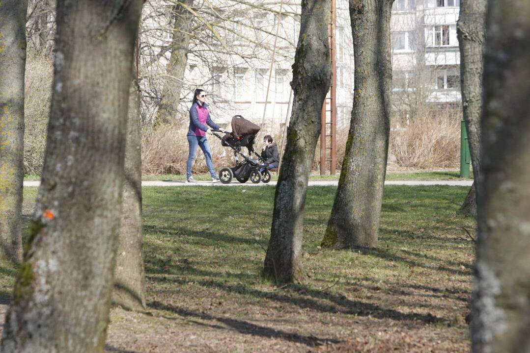 Draugystės parkas tapo šviesesnis