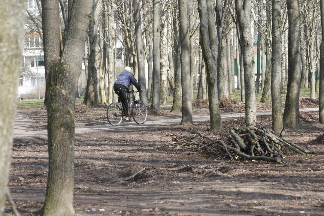 Draugystės parkas tapo šviesesnis