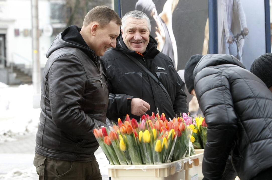 Uostamiestis pražydo tulpėmis