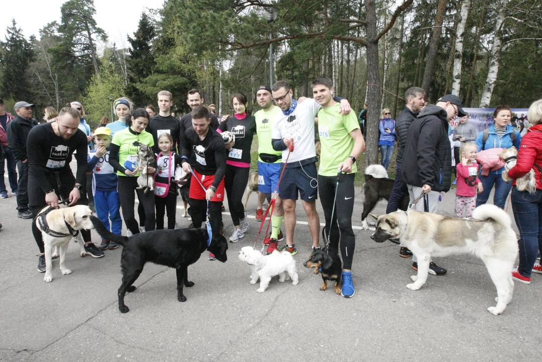 Šuniukų bėgimas Klaipėdoje