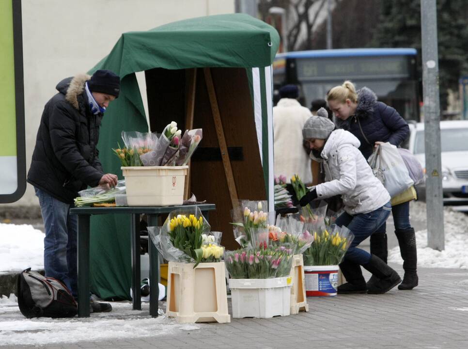 Uostamiestis pražydo tulpėmis