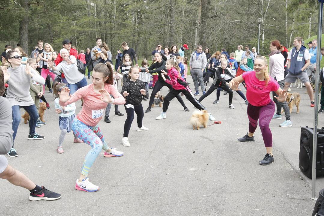 Šuniukų bėgimas Klaipėdoje