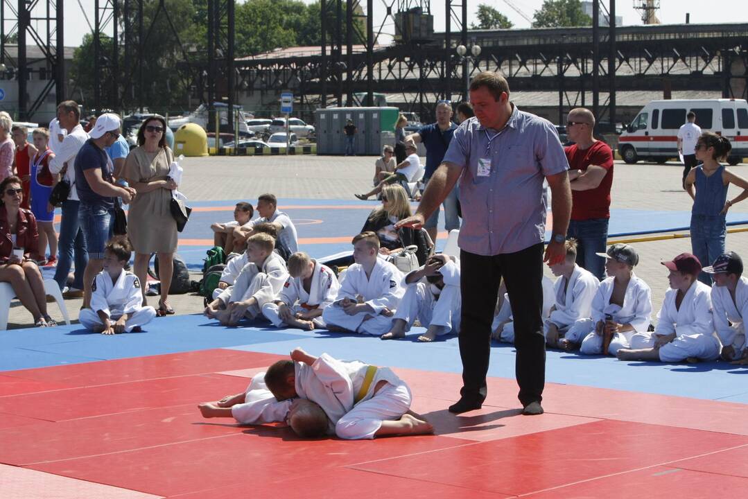 Sporto festivalis Klaipėdoje