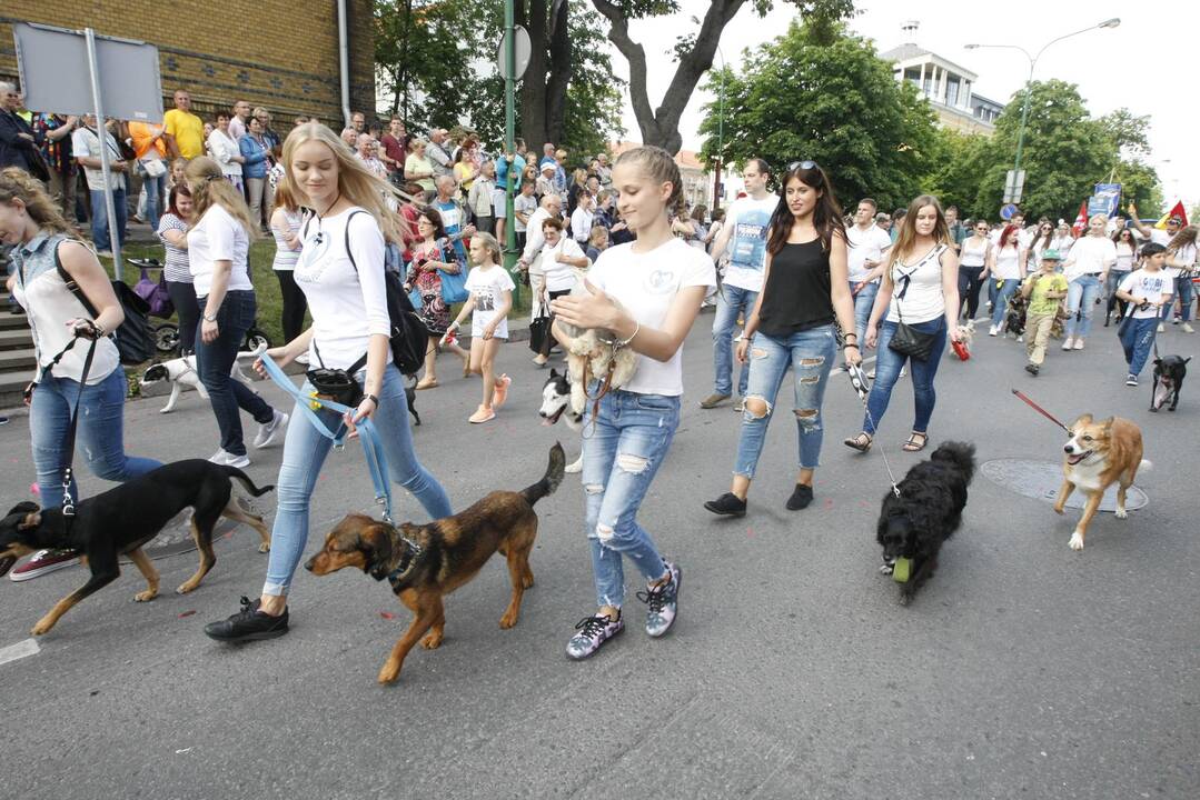 „Jūros šventės 2017“ eisena