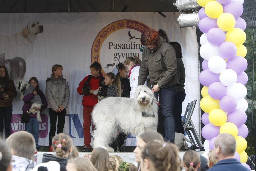 Gargžduose gyvūnų mylėtojų šventė