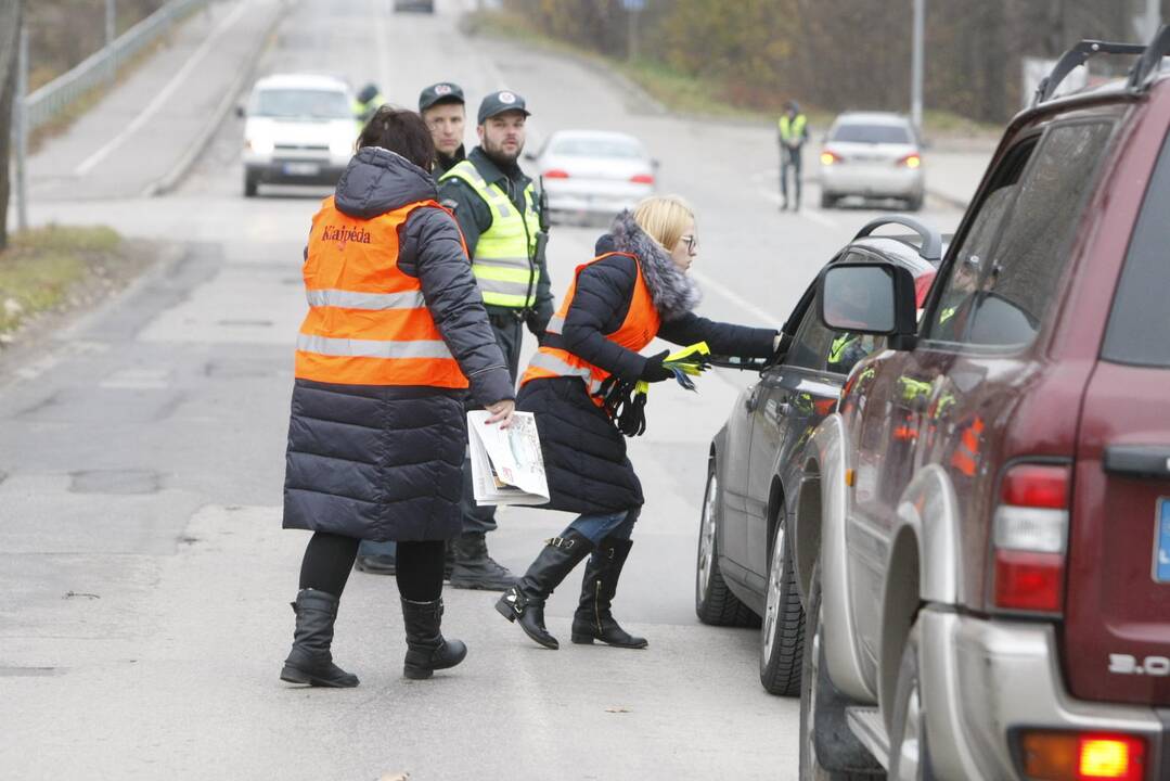 Dienraščio "Klaipėda" jubiliejinė akcija kelyje