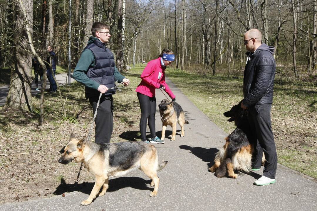 Šunų ir jų augintojų bėgimas Klaipėdoje 