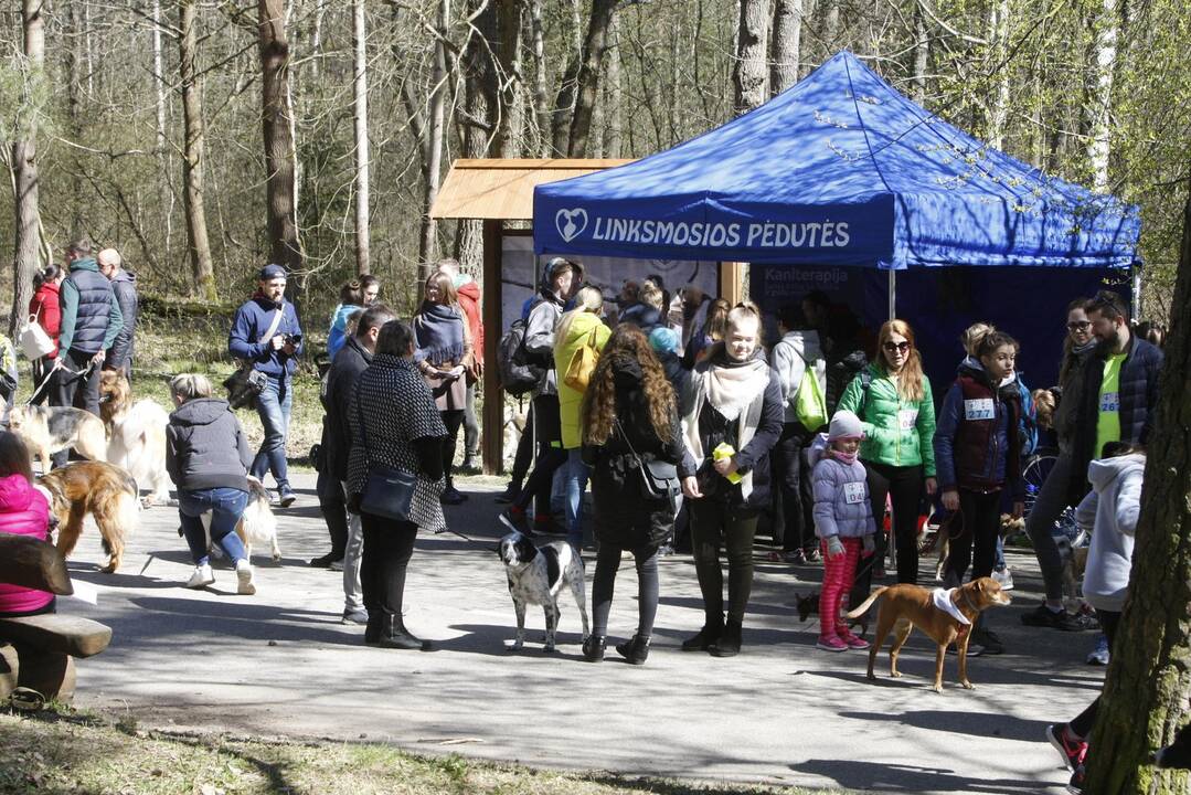 Šunų ir jų augintojų bėgimas Klaipėdoje 