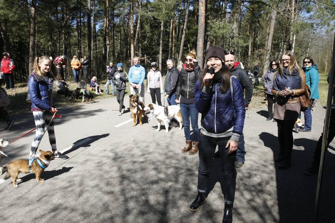 Šunų ir jų augintojų bėgimas Klaipėdoje 