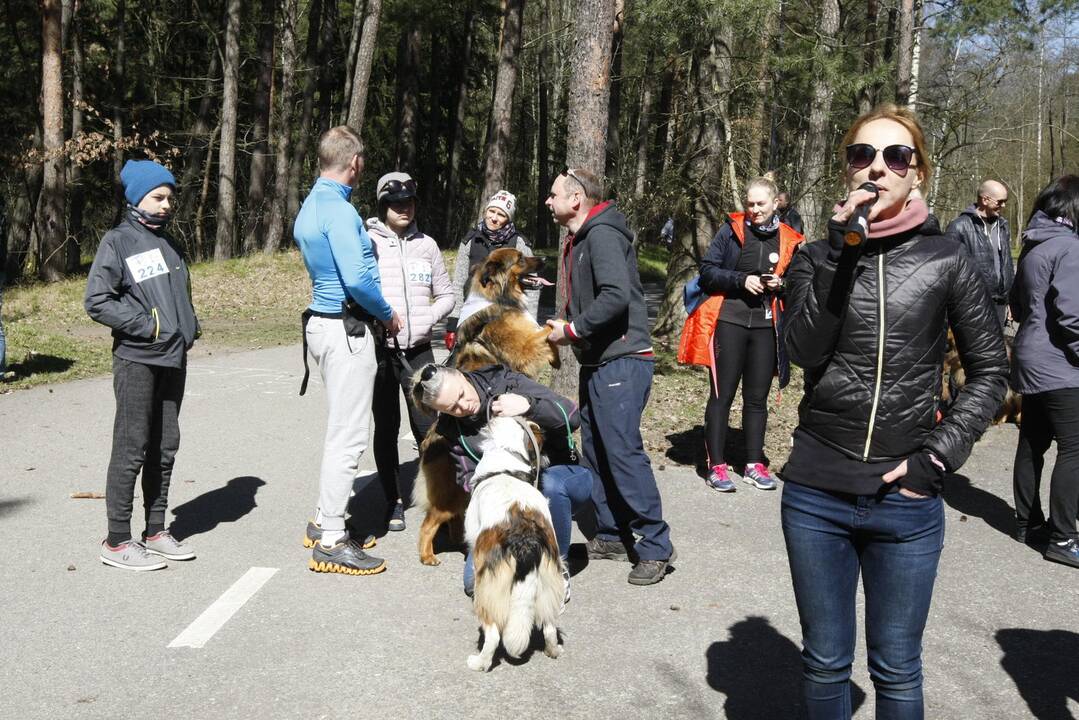 Šunų ir jų augintojų bėgimas Klaipėdoje 