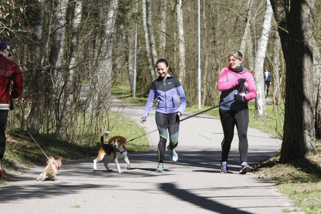 Šunų ir jų augintojų bėgimas Klaipėdoje 