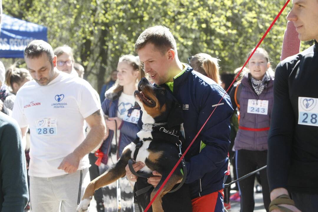 Šunų ir jų augintojų bėgimas Klaipėdoje 