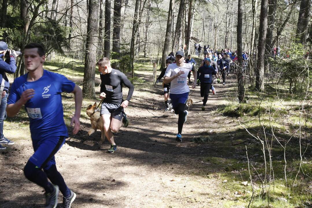 Šunų ir jų augintojų bėgimas Klaipėdoje 
