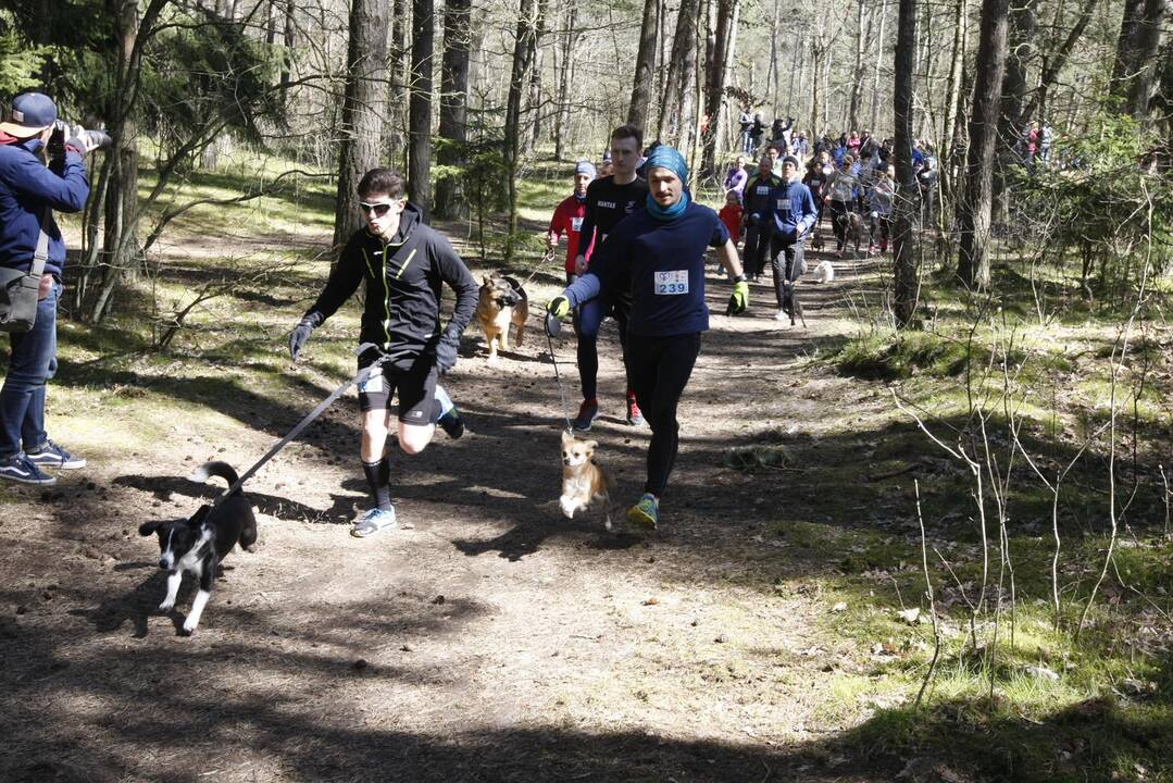 Šunų ir jų augintojų bėgimas Klaipėdoje 