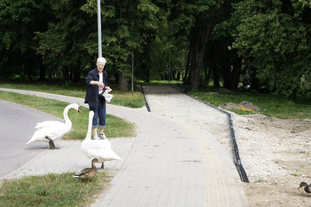 Užsitęsė darbai Malūno parke: tikisi, kad planai nežlugs